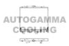 AUTOGAMMA 102930 Radiator, engine cooling
